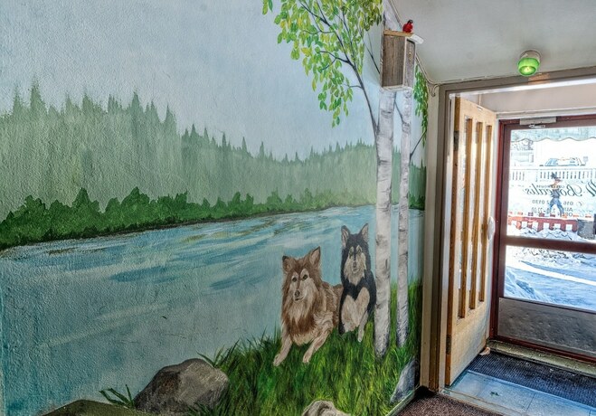 Imagen general del Hotel Guesthouse Borealis. Foto 11