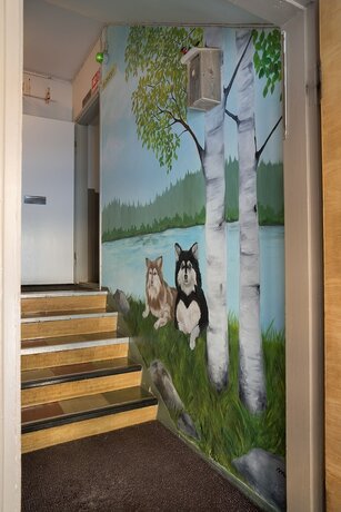 Imagen general del Hotel Guesthouse Borealis. Foto 13