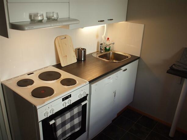 Imagen general del Hotel Guesthouse Borealis. Foto 14