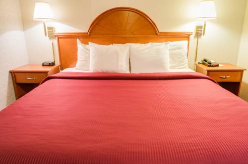 Imagen de la habitación del Hotel Guesthouse Fife. Foto 14