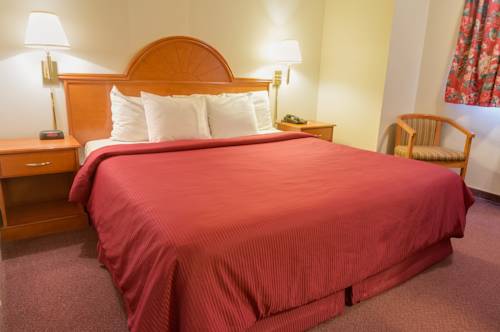 Imagen de la habitación del Hotel Guesthouse Fife. Foto 16