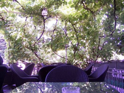 Imagen general del Hotel Guesthouse Ivac Inn Zagreb Airport. Foto 6