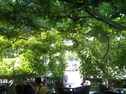 Imagen general del Hotel Guesthouse Ivac Inn Zagreb Airport. Foto 7