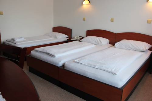 Imagen de la habitación del Hotel Guesthouse Leski Dvor. Foto 10