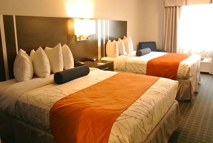Imagen general del Hotel Guesthouse Lexington. Foto 7