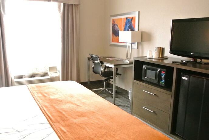 Imagen de la habitación del Hotel Guesthouse Lexington. Foto 14