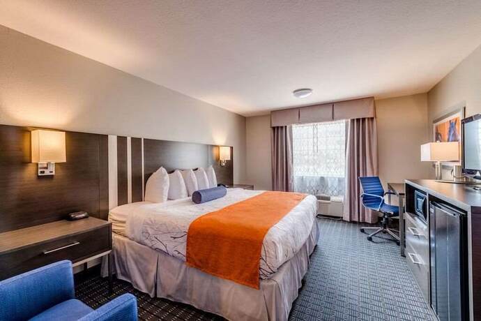 Imagen de la habitación del Hotel Guesthouse Lexington. Foto 18