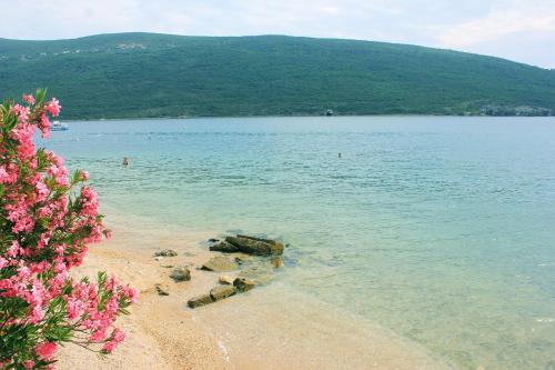 Imagen general del Hotel Guesthouse Maric. Foto 3