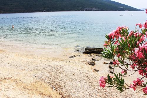 Imagen general del Hotel Guesthouse Maric. Foto 5