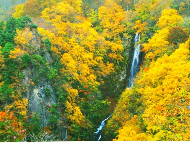 Imagen general del Hotel Guesthouse Nashimotoken. Foto 2