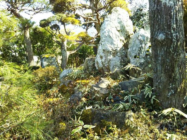 Imagen general del Hotel Guesthouse Nashimotoken. Foto 7