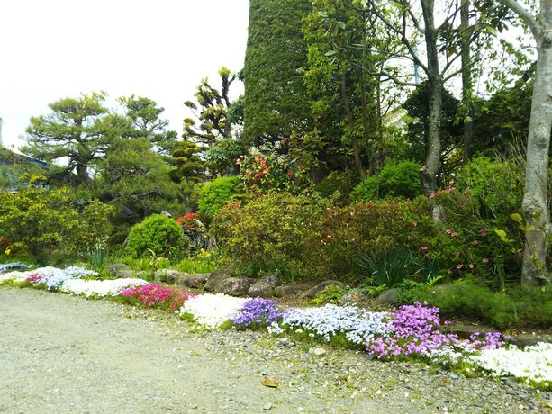 Imagen general del Hotel Guesthouse Nashimotoken. Foto 15