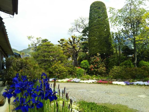 Imagen general del Hotel Guesthouse Nashimotoken. Foto 16