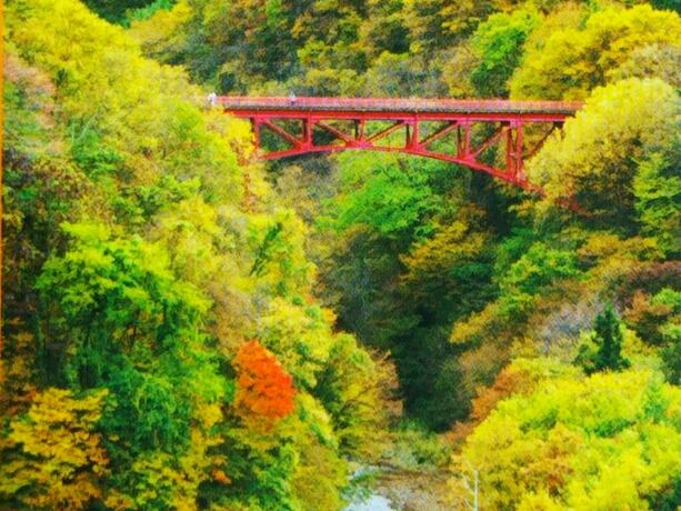 Imagen general del Hotel Guesthouse Nashimotoken. Foto 17