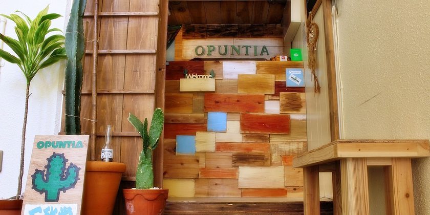 Imagen general del Hotel Guesthouse Opuntia - Hostel. Foto 1