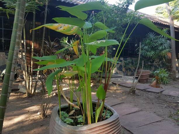 Imagen general del Hotel Guesthouse Ratchaburi. Foto 7