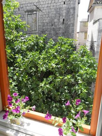 Imagen general del Hotel Guesthouse Ruzica. Foto 2