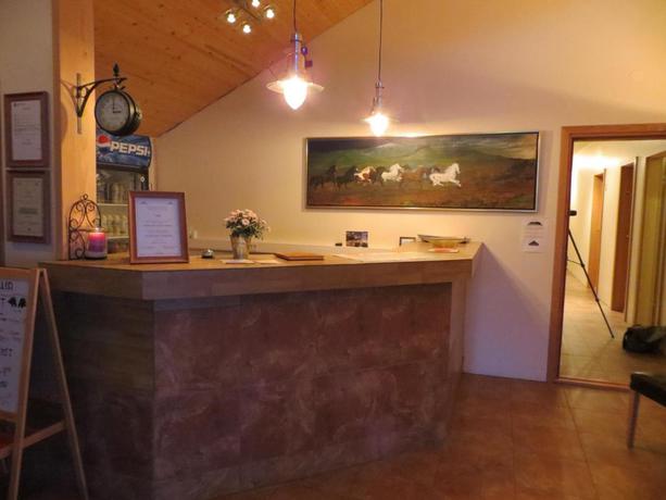 Imagen de los interiores del Hotel Guesthouse Vellir. Foto 6