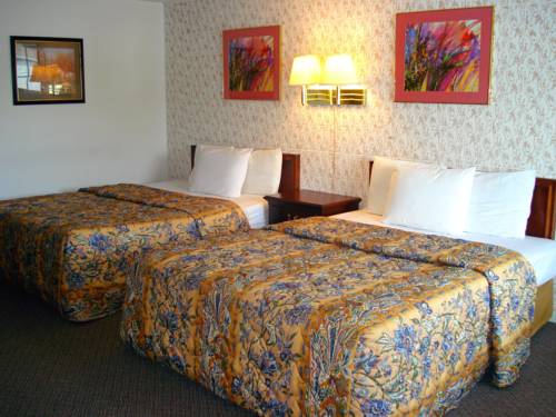 Imagen de la habitación del Hotel Guestlodge. Foto 9