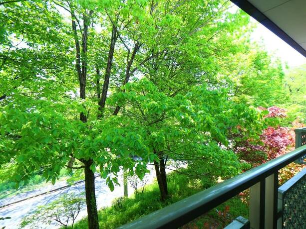 Imagen general del Hotel Guestroom Garden Azumino. Foto 13