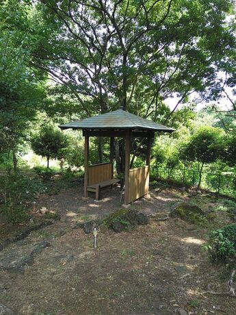 Imagen general del Hotel Guests and Dogs House Hale Ilio. Foto 3