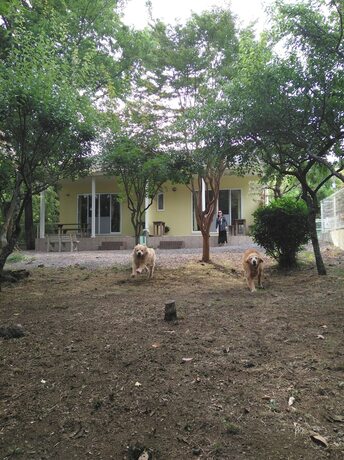 Imagen general del Hotel Guests and Dogs House Hale Ilio. Foto 7