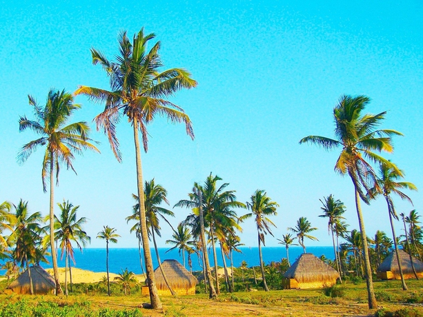 Imagen general del Hotel Guiquindo Lodge. Foto 2