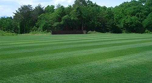 Imagen general del Hotel Gujo Kogen. Foto 18