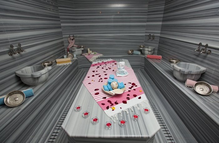 Imagen de los interiores del Hotel Guler Park. Foto 16