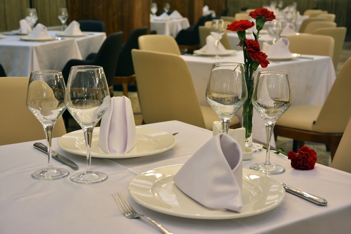 Imagen de los interiores del Hotel Guler Park. Foto 17