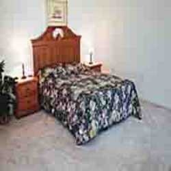 Imagen general del Hotel Gulfcoast Holiday Homes. Foto 3