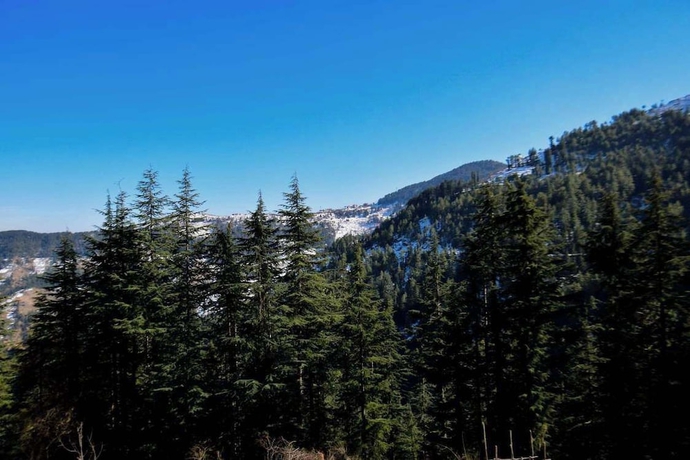 Imagen general del Hotel Gulmarg Height Homestay Kufri Shimla. Foto 3