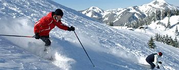 Imagen de los exteriores del Hotel Gundl Alm. Foto 14