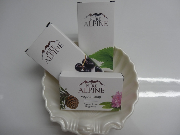 Imagen de la habitación del Hotel Gundolf. Foto 13