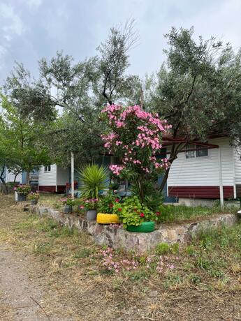 Imagen general del Hotel Gunes tatil k&ouml;y&uuml;. Foto 11