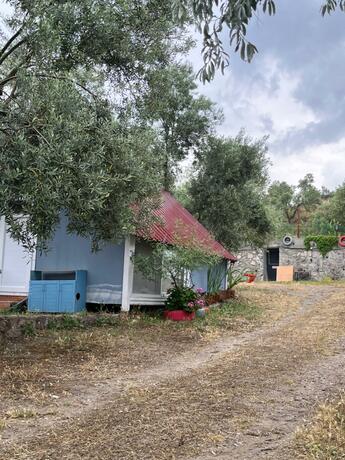 Imagen general del Hotel Gunes tatil k&ouml;y&uuml;. Foto 14