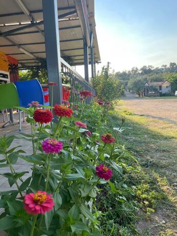 Imagen general del Hotel Gunes tatil k&ouml;y&uuml;. Foto 30