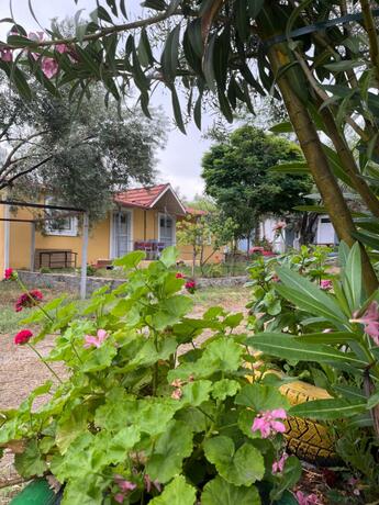 Imagen general del Hotel Gunes tatil k&ouml;y&uuml;. Foto 32