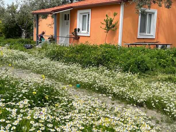 Imagen general del Hotel Gunes tatil k&ouml;y&uuml;. Foto 38