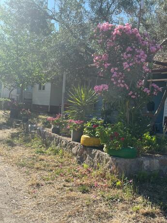 Imagen general del Hotel Gunes tatil k&ouml;y&uuml;. Foto 42