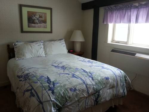 Imagen de la habitación del Hotel Gunstock Inn and Suites. Foto 8