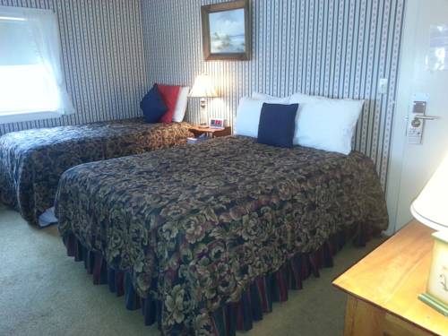 Imagen de la habitación del Hotel Gunstock Inn and Suites. Foto 16