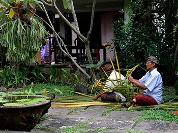 Imagen general del Hotel Gunung Merta Bungalows. Foto 2
