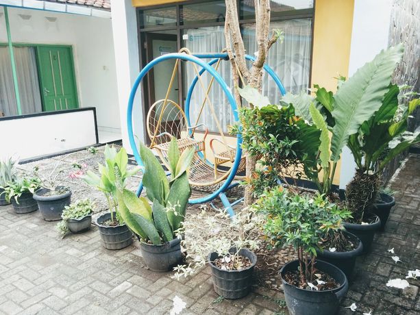 Imagen de los interiores del Hotel Gunung Slamet. Foto 18
