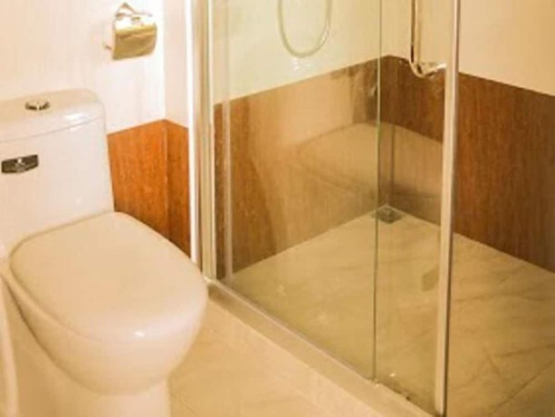 Imagen de la habitación del Hotel Guraidhoo Palm Inn. Foto 12