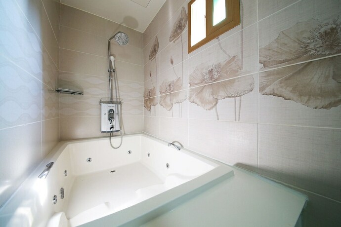 Imagen general del Hotel Guri Zenith. Foto 6