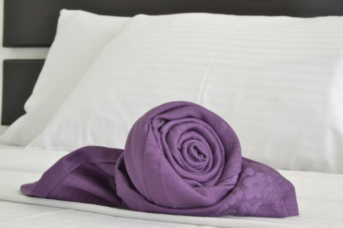 Imagen de la habitación del Hotel Gustafha. Foto 12