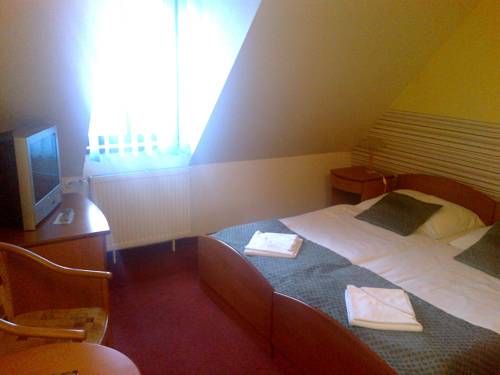 Imagen de la habitación del Hotel Gustav Mahler. Foto 3