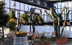 Imagen de los exteriores del Hotel Gut Moschenhof. Foto 8