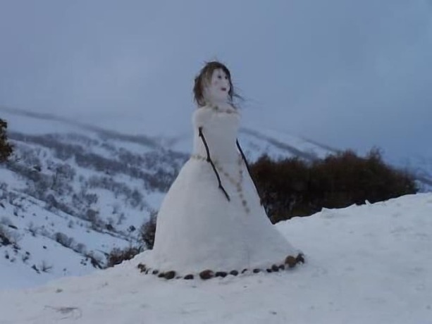 Imagen general del Hotel Guthega Inn. Foto 4